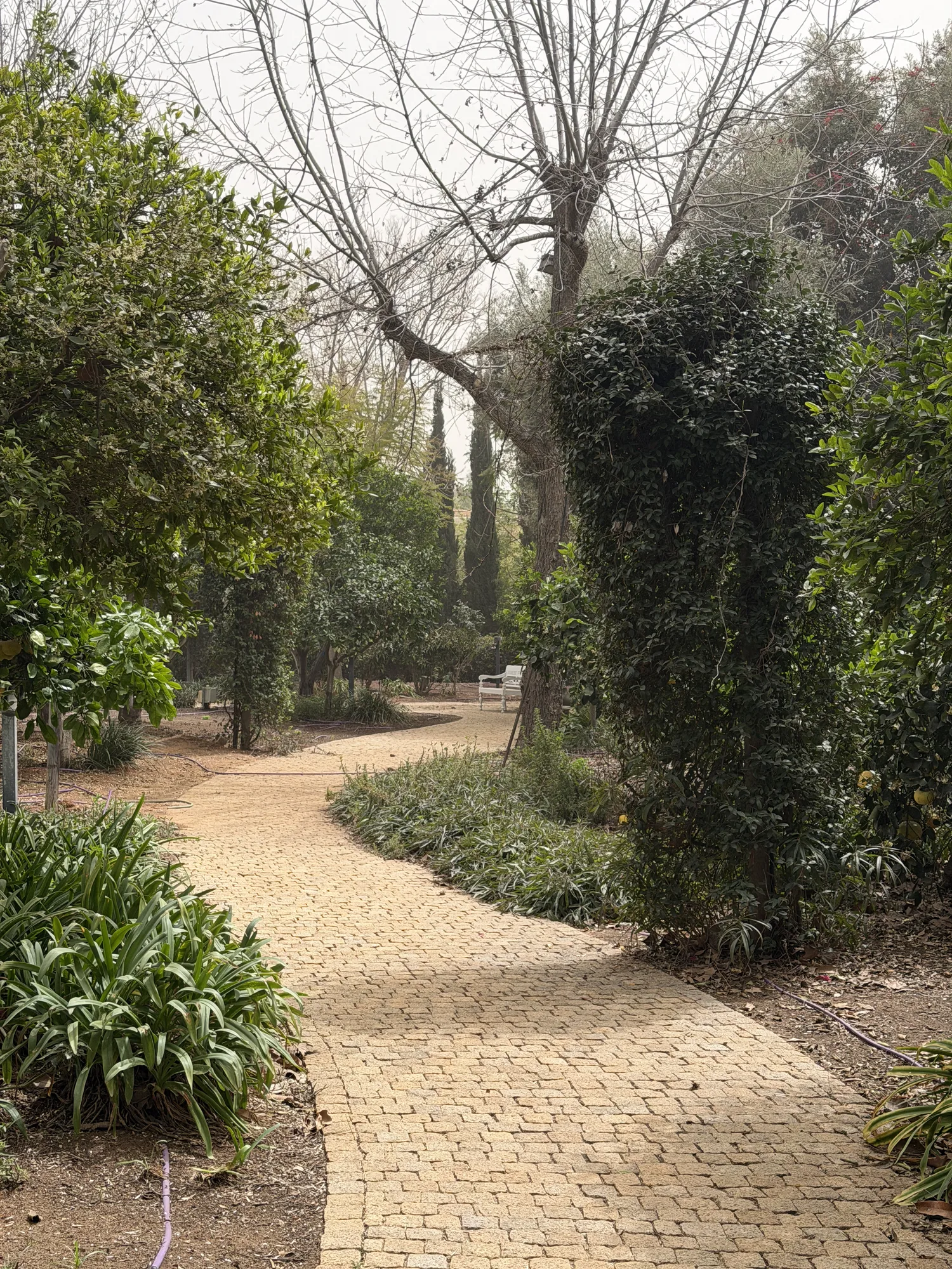 Garden path